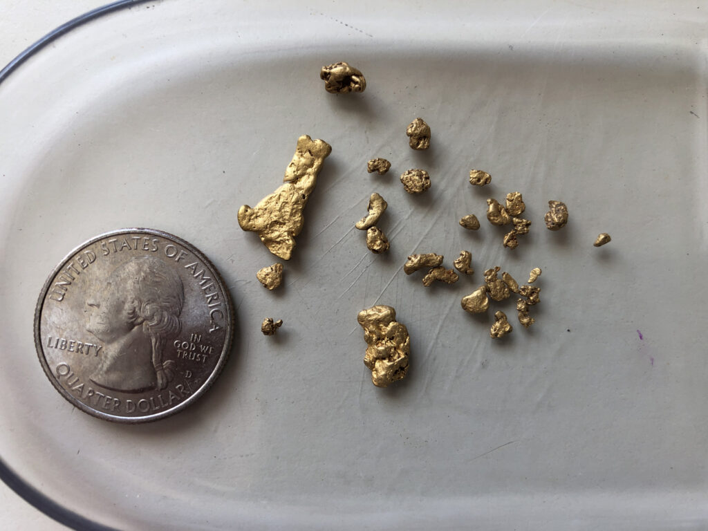 Arizona-Gold-Nuggets