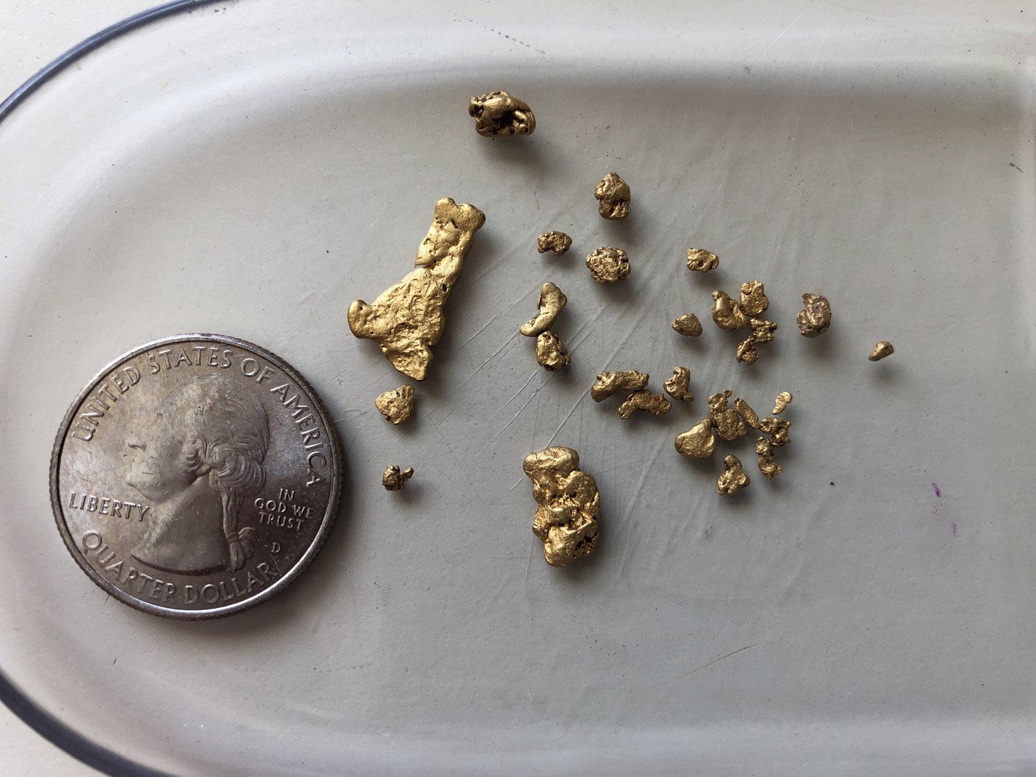 Arizona gold mining claim gold nuggets with quarter for scale