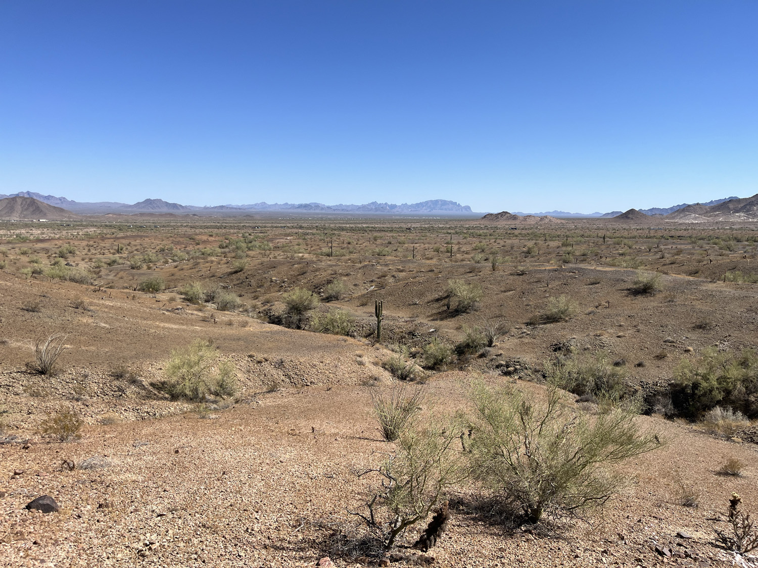 Arizona gold mining claims for sale Quartzsite